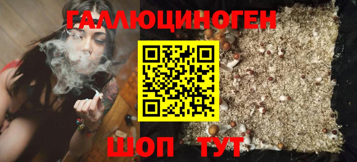 Озёрск  Псилоцибиновые грибы MAGIC MUSHROOMS  купить наркотики цена  Вход с VPN 